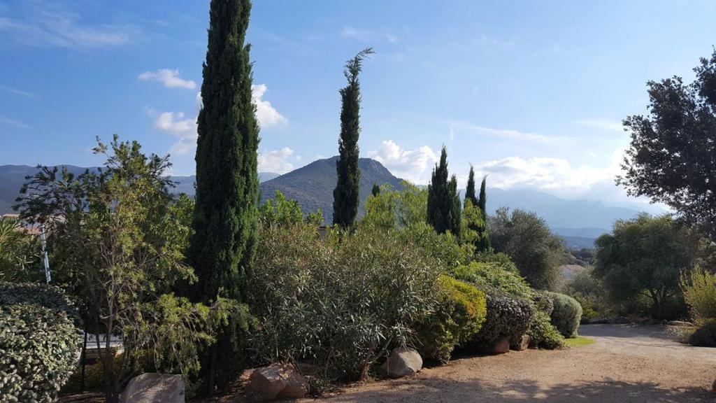 Villa Le Bois De Capra Scorsa Belgodère Exterior foto